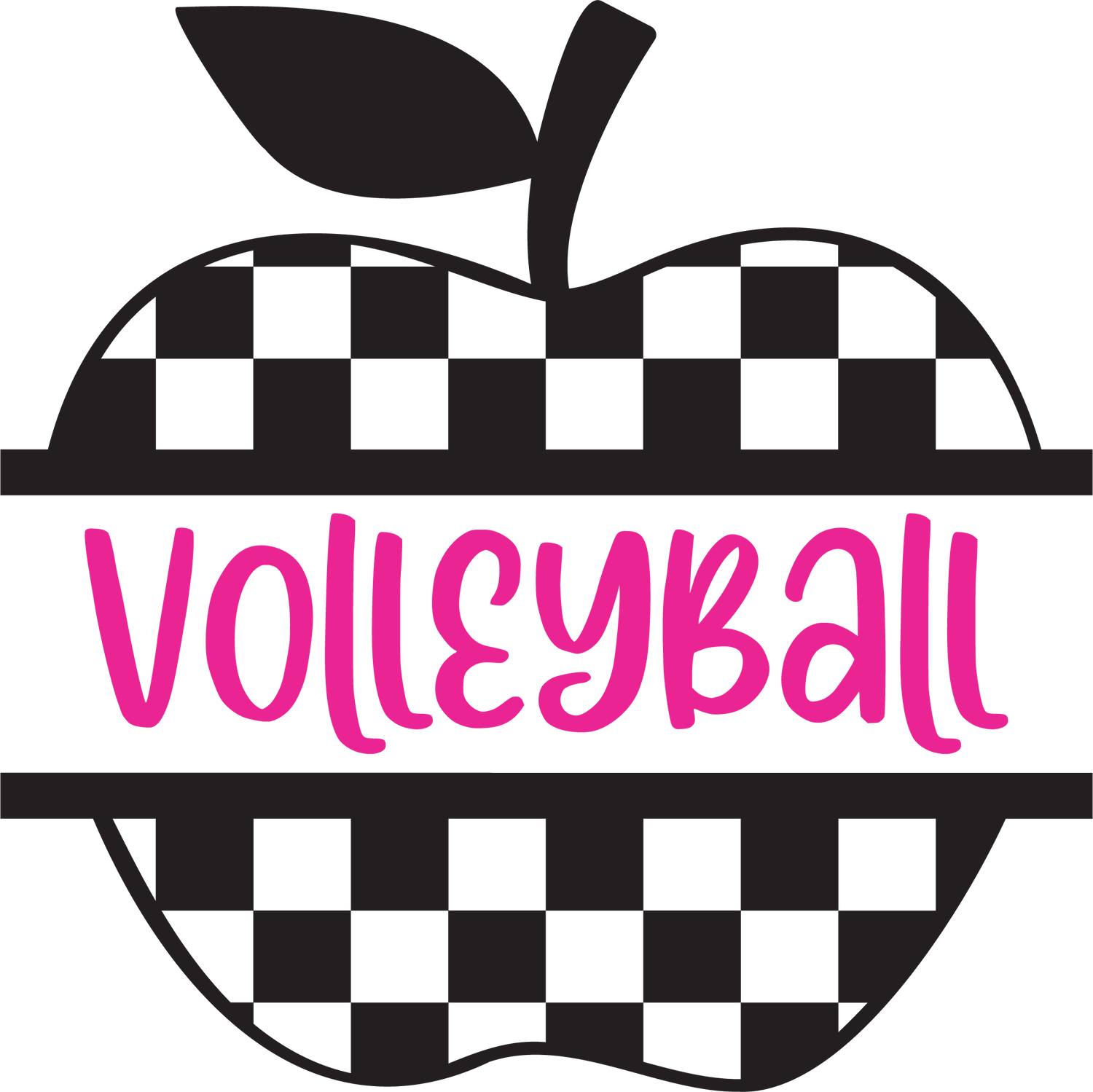 Volleyball